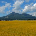 福島県で少しでも高く家を売る方法