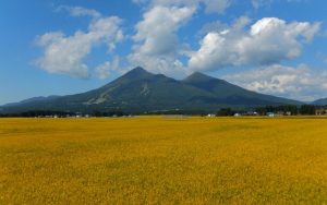 福島県で少しでも高く家を売る方法