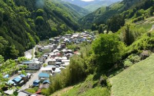 市街化調整区域とは？市街化調整区域の家や土地を売る方法を解説！